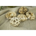 Dried Vegetable White Flower Mushroom Best Agricultural Products